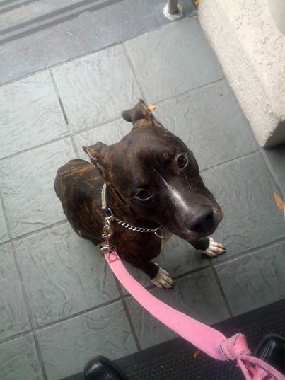 Eleanor - She Made a Full Recovery!