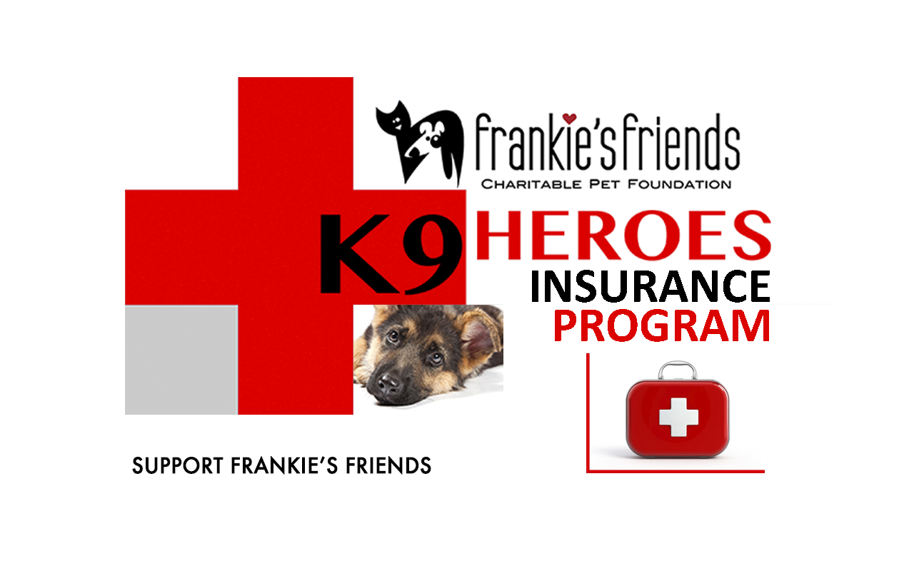 K9 Heroes Insurance Banner_Kindness.png