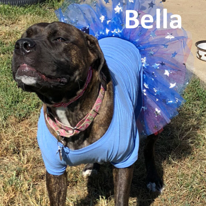 Bella 2 sq.jpg