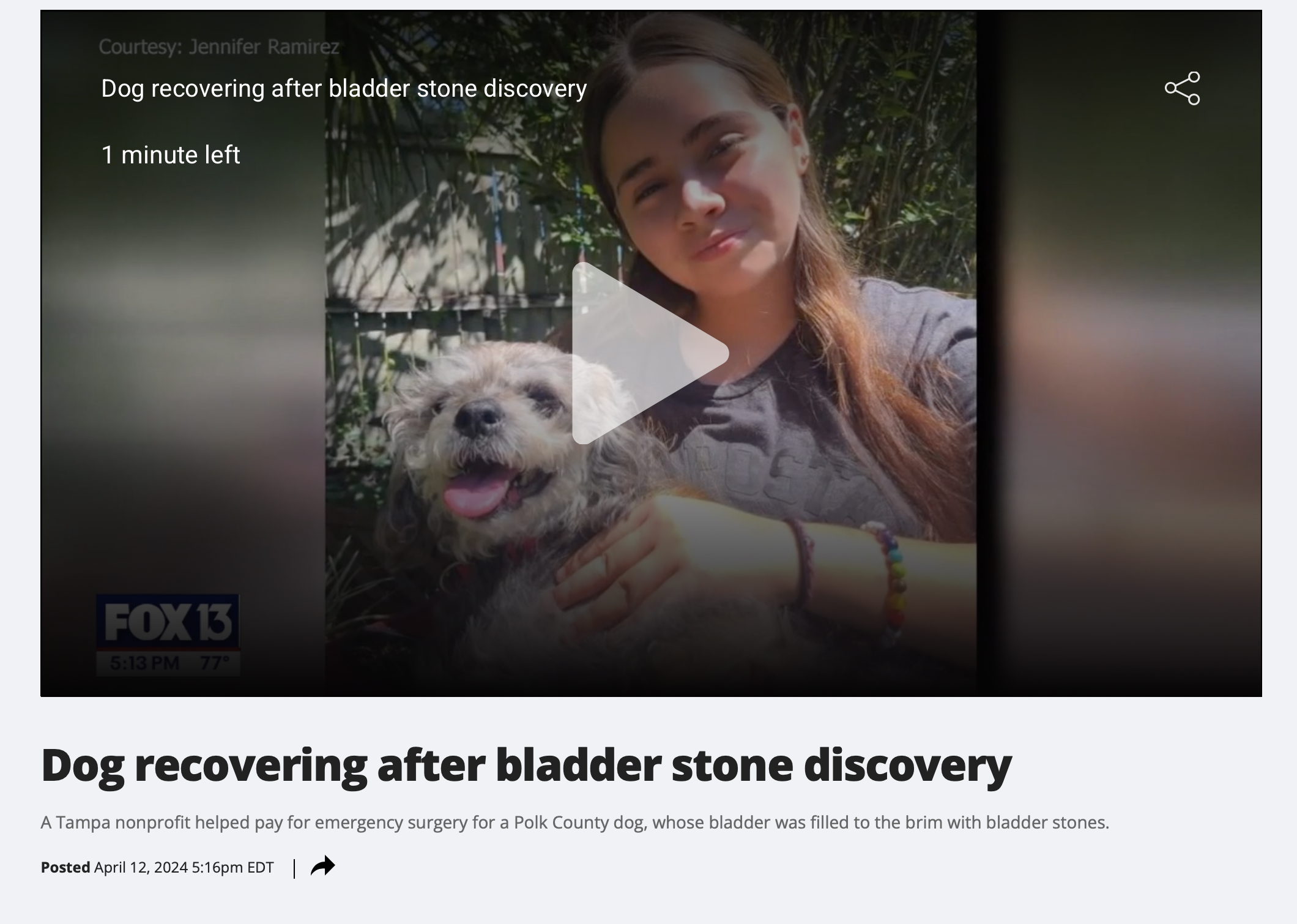 FOX News 13 Interview: Frankie's Friends helps to pay for emergency surgery for a Polk County dog, whose bladder was filled to the brim with bladder stones.