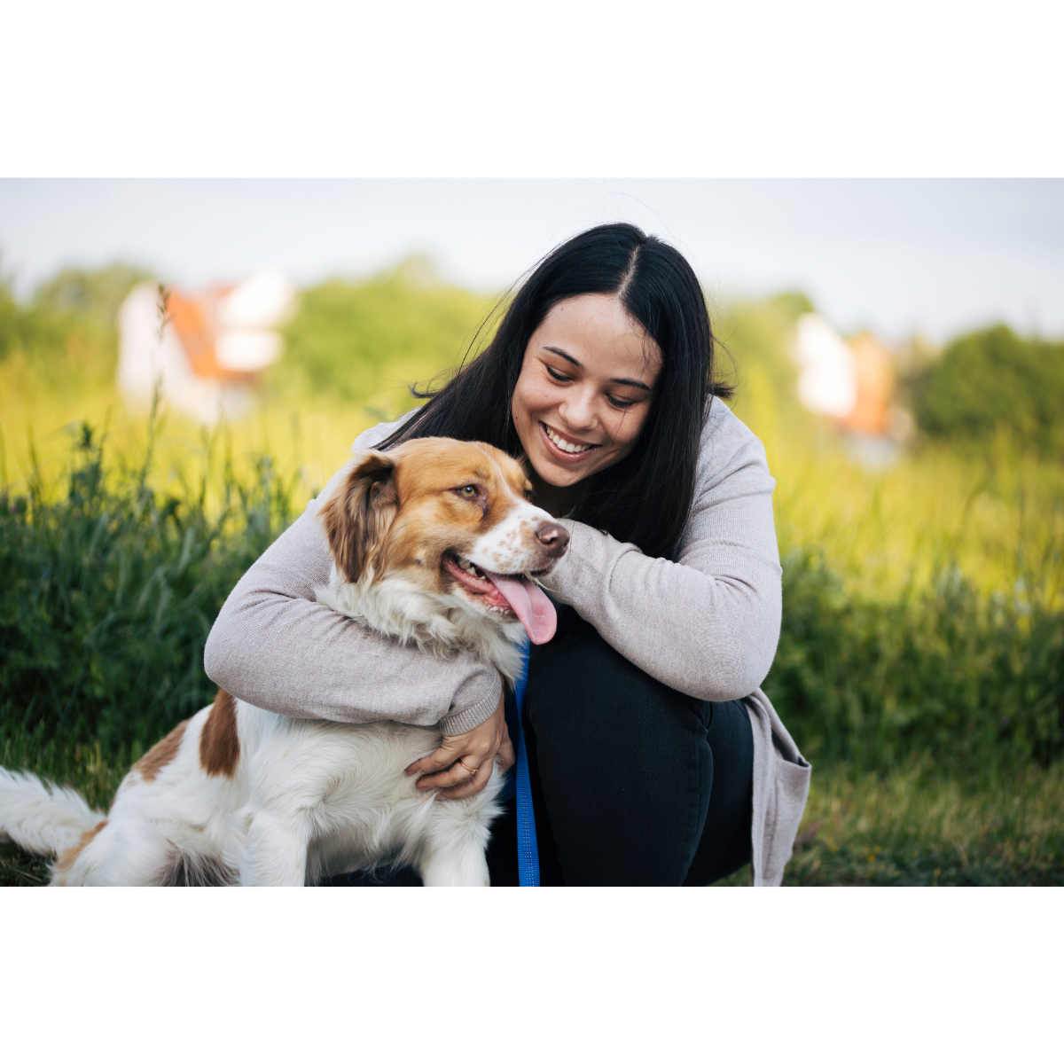 The Crucial Care Fund with the FVMA Foundation