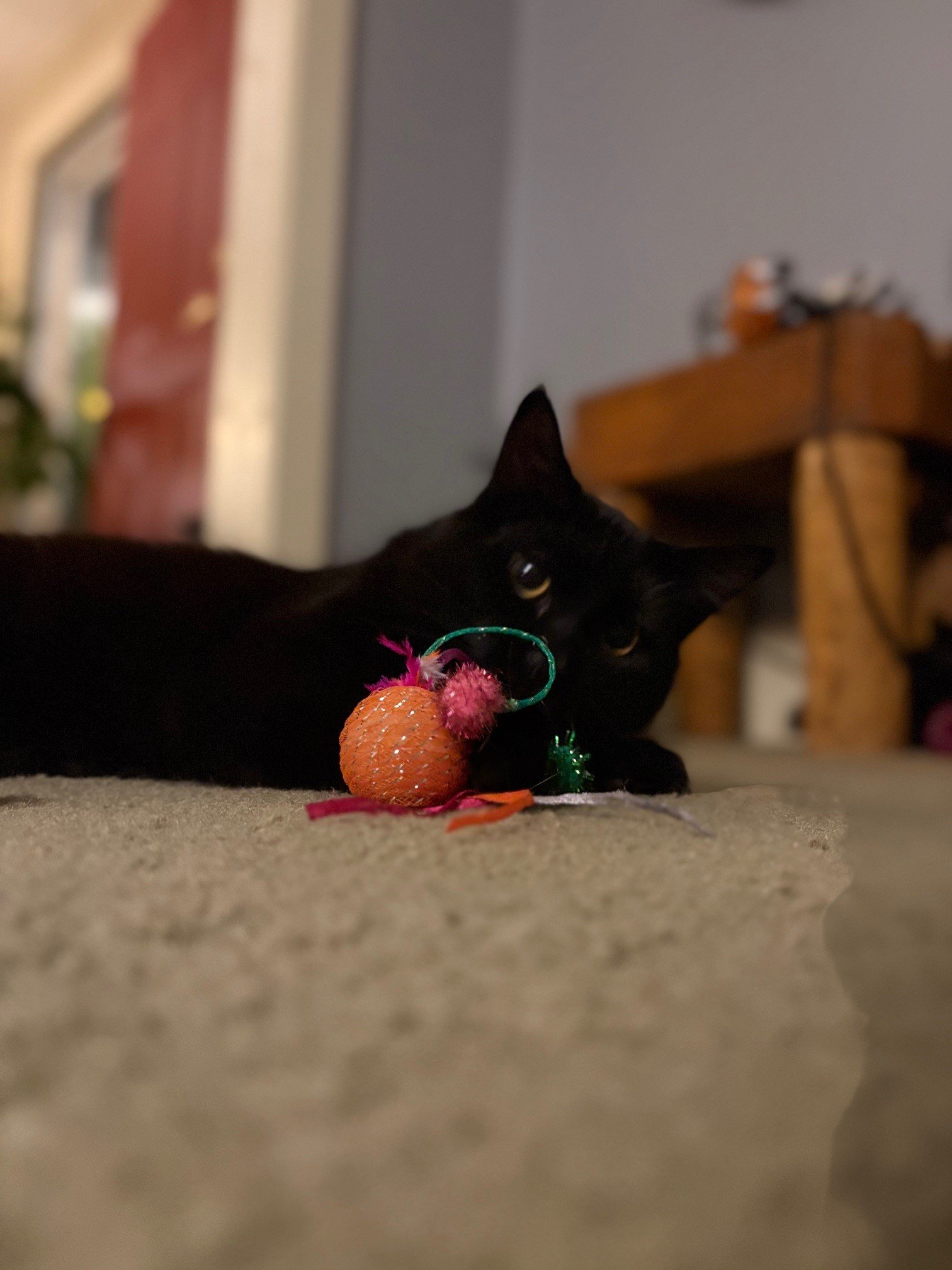 Oswald is not just a pet.